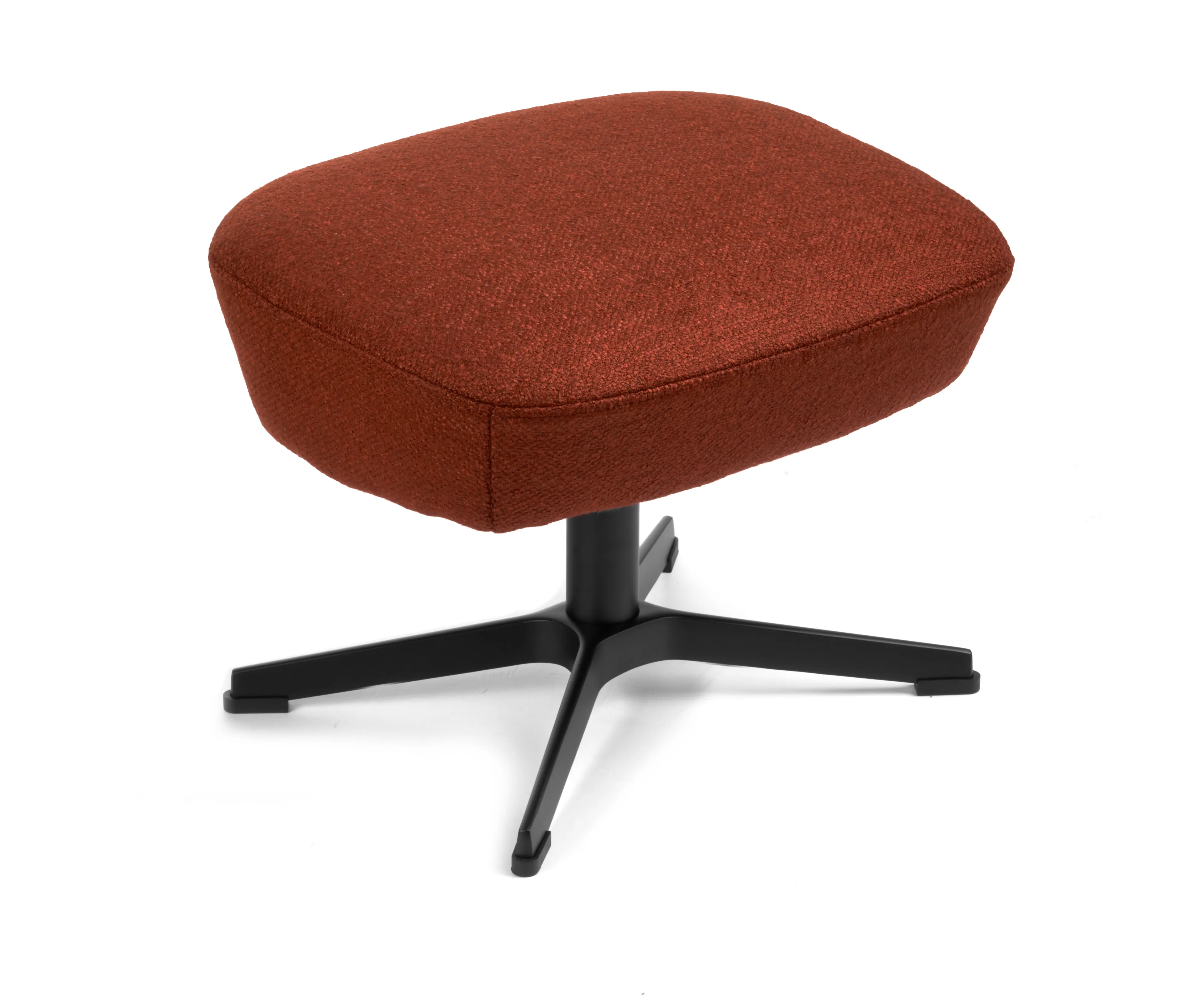 Hocker Turtle