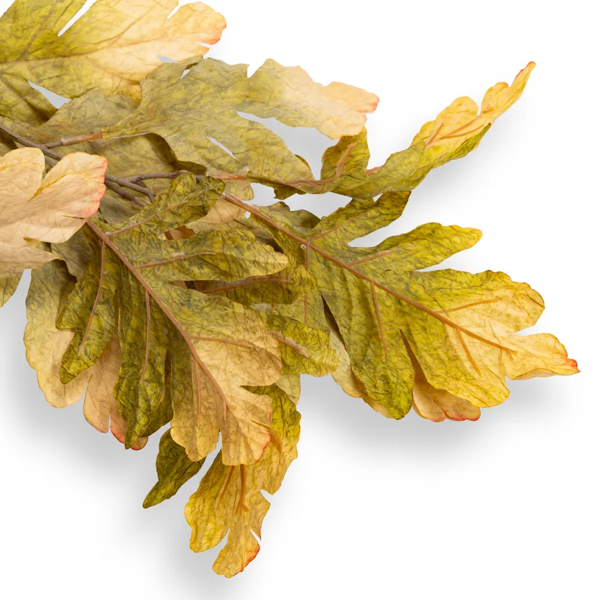 Herbstlaub "Ahorn" grün detail