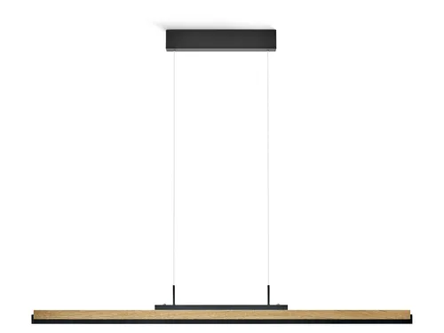 LED-Pendelleuchte