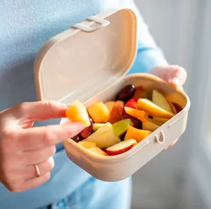 Lunchbox