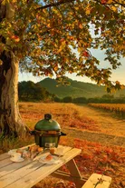 milieu