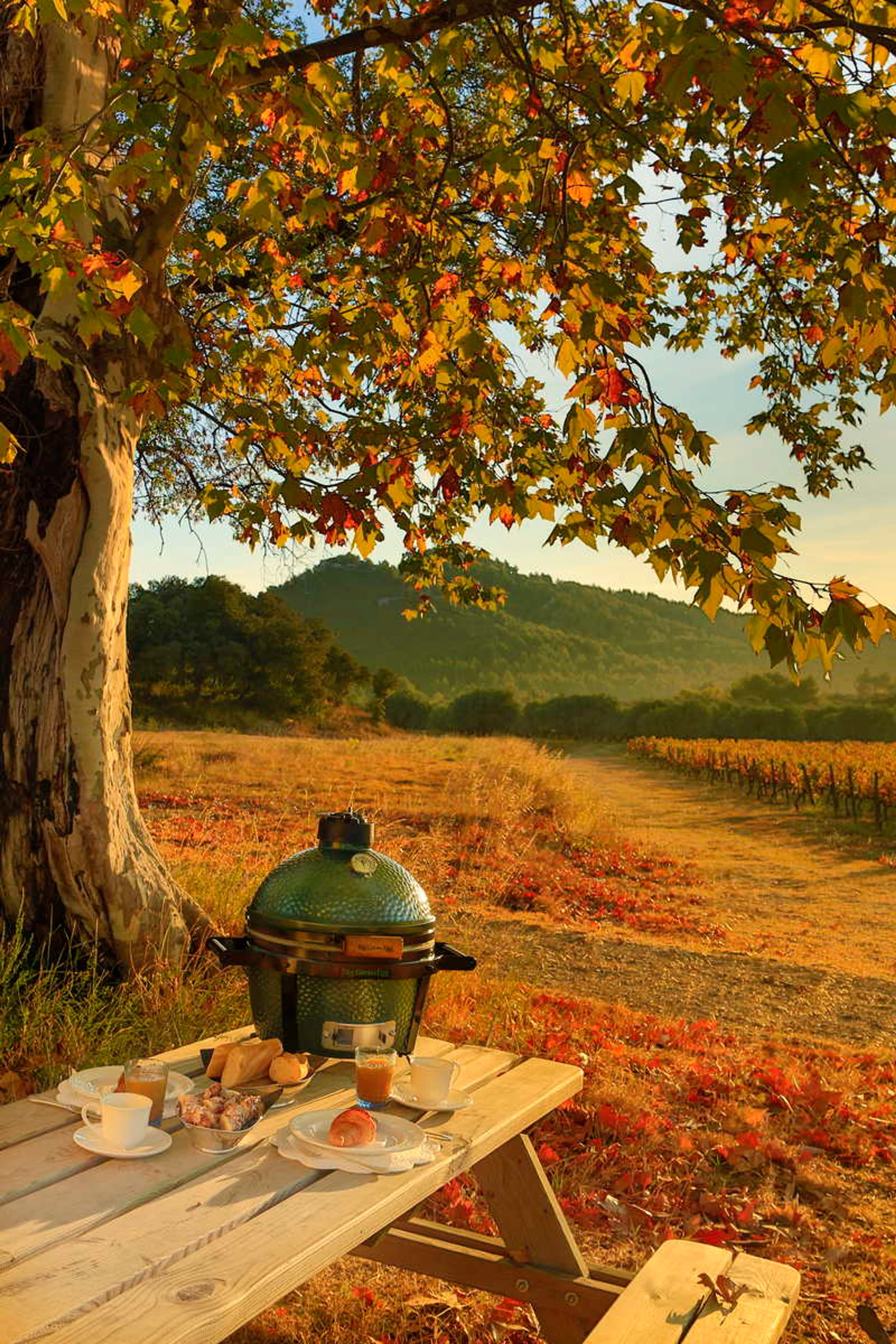 Holzkohlegrill Set. Big Green Egg Minimax 