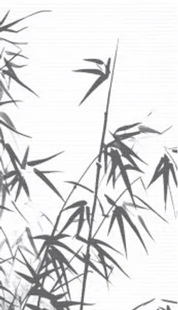 Grau material_farbe
