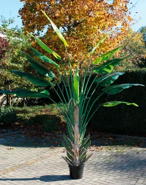 Kunstpflanze