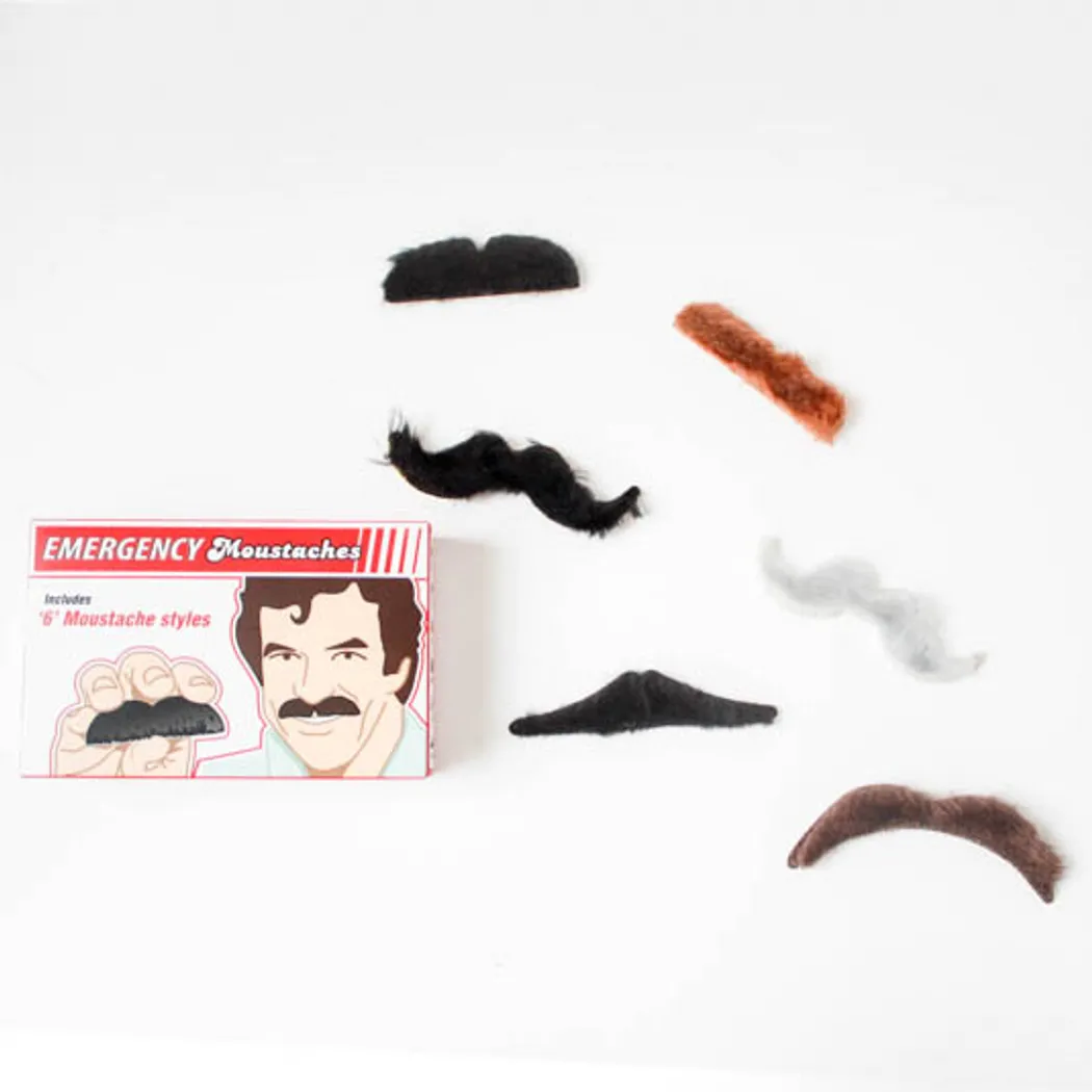 hauptaufnahme