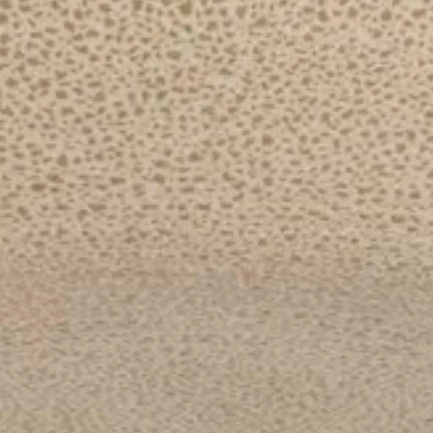 Speiseteller "Kumi" fungi material_farbe