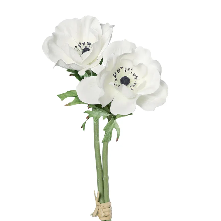 Anemonen-Pick creme hauptaufnahme