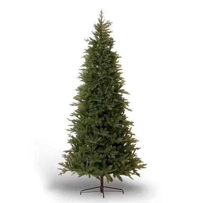 Weihnachtsbaum
