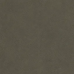Olive material_farbe