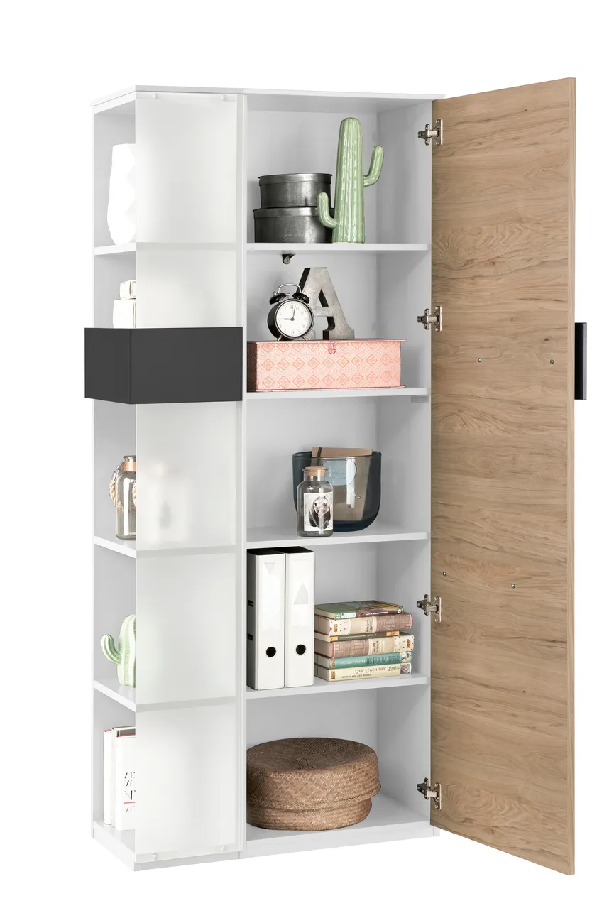 Vitrinenelement 2-geteilt detail