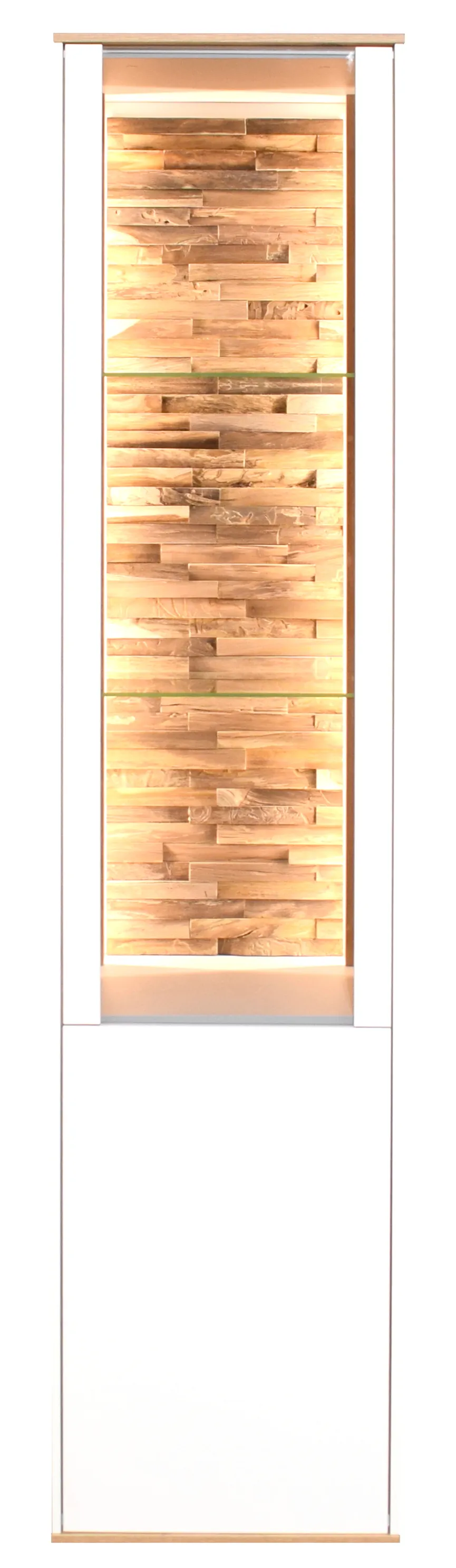 Vitrine hauptaufnahme