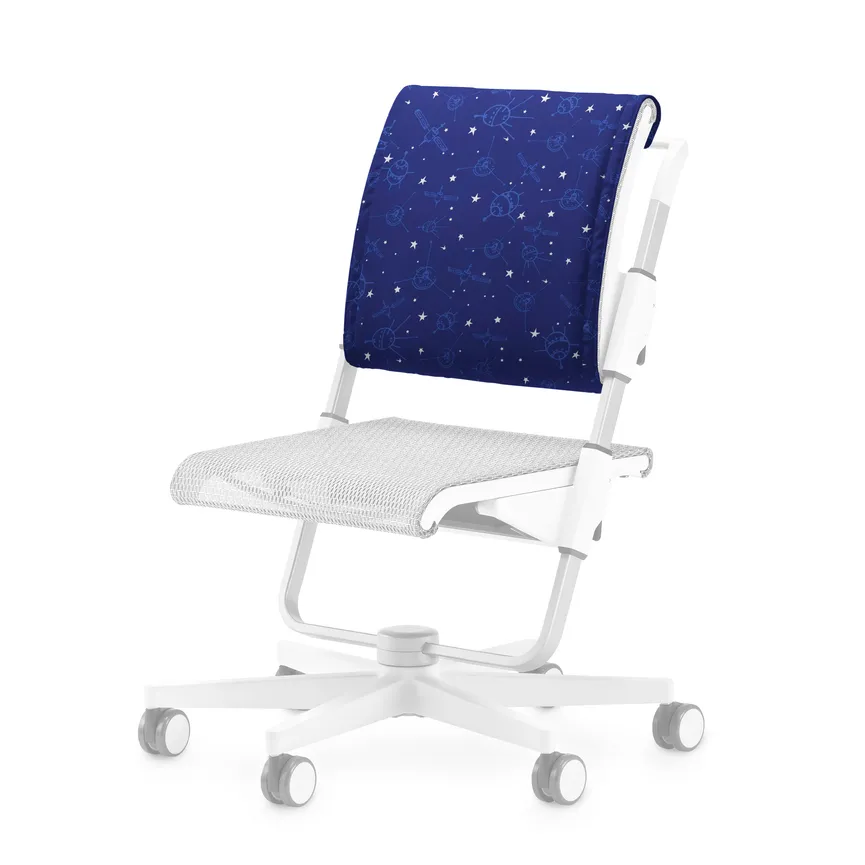 Rückenkissen hauptaufnahme