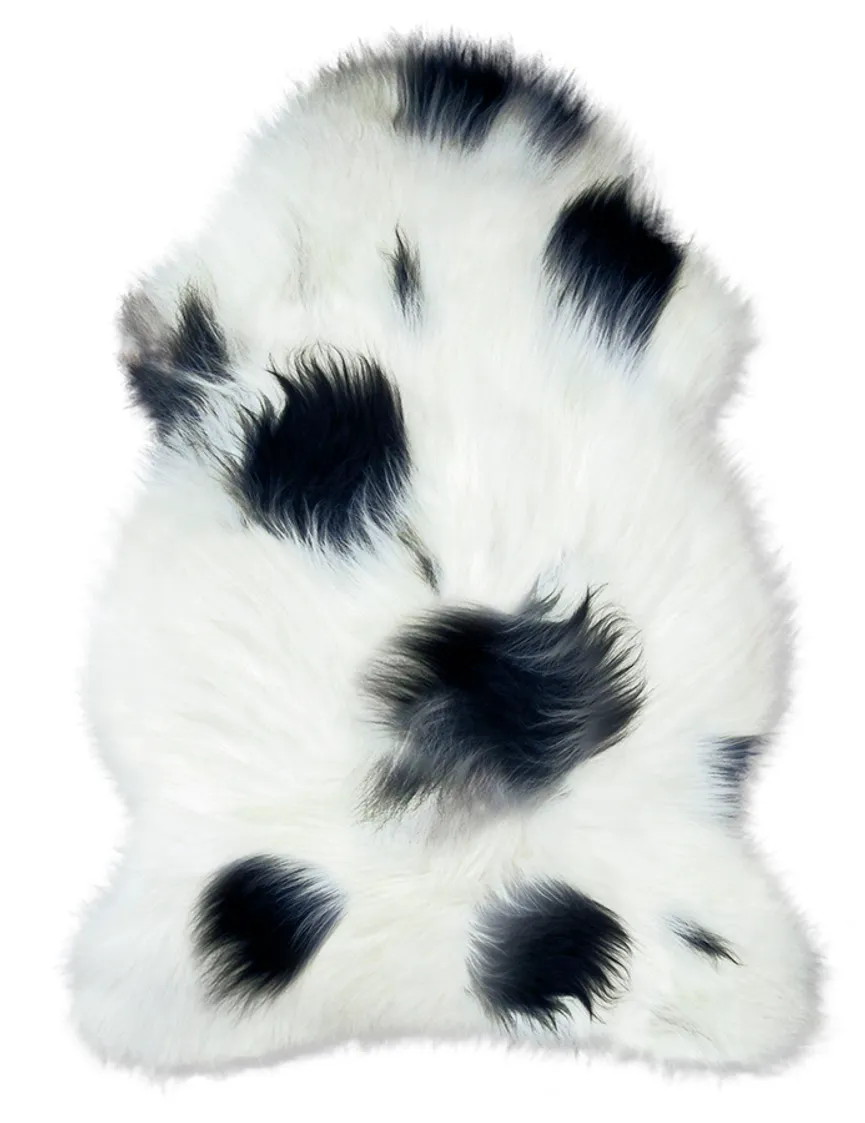 nordlandschnucken- hauptaufnahme