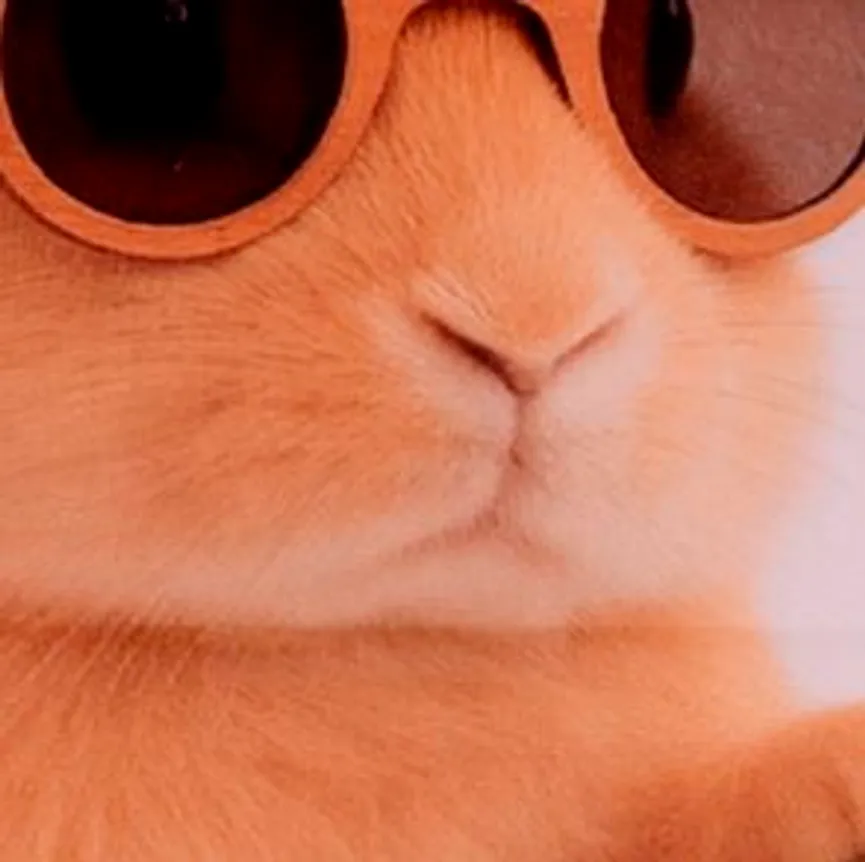 Kissenhülle Hase weiß material_farbe