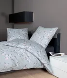 milieu
