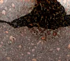 material_farbe