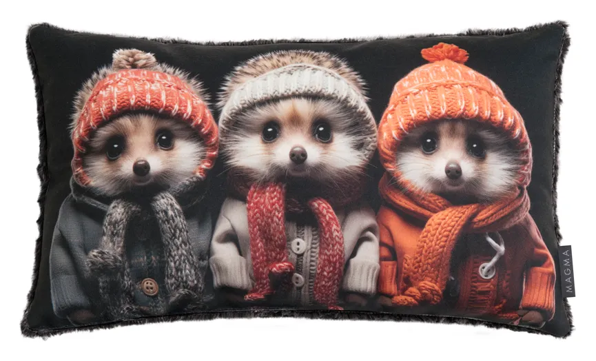 Kissen Crazy Igel 50x30 cm hauptaufnahme