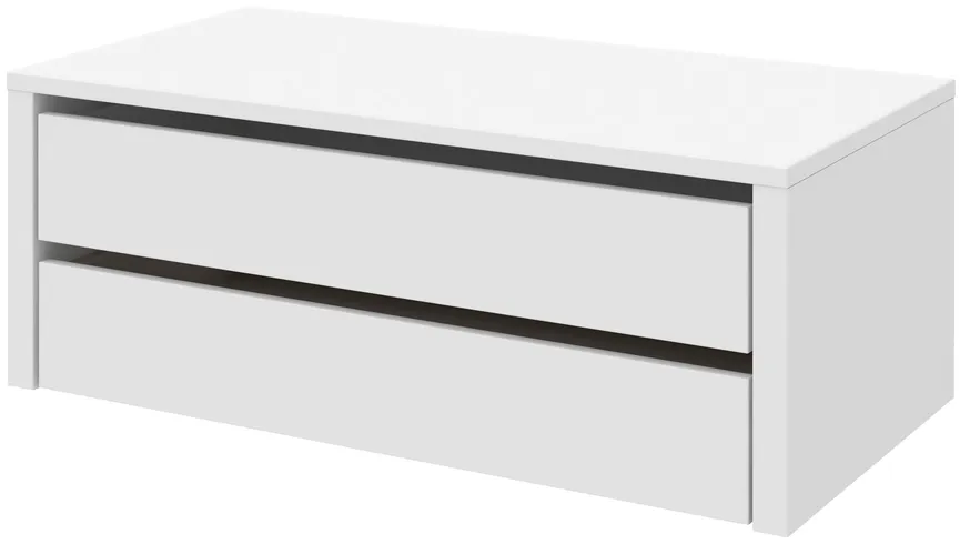 Einbau-Schubkasten 100 cm hauptaufnahme