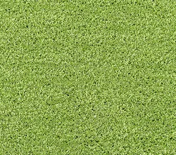 Kiwi material_farbe