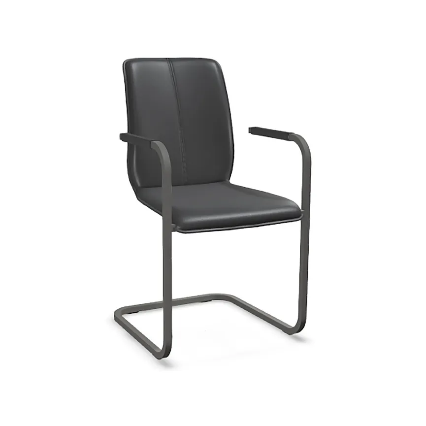 AL-Freischwinger Tara 824-A material_farbe