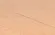 FARBE