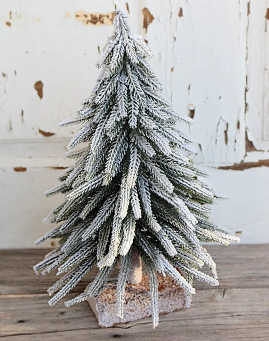 Tannbaum mit Schnee milieu