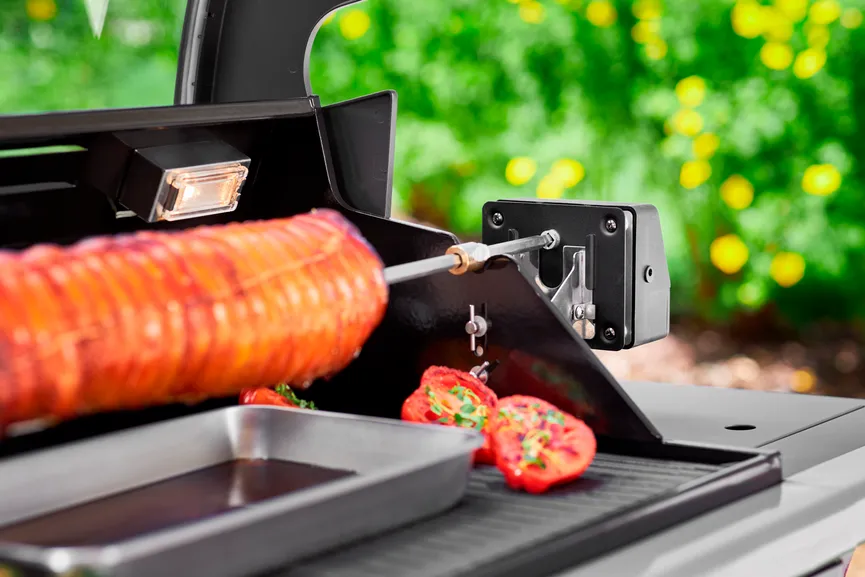 **Premium Grillspieß G2/G3/F60 detail