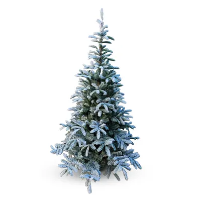 Weihnachtsbaum