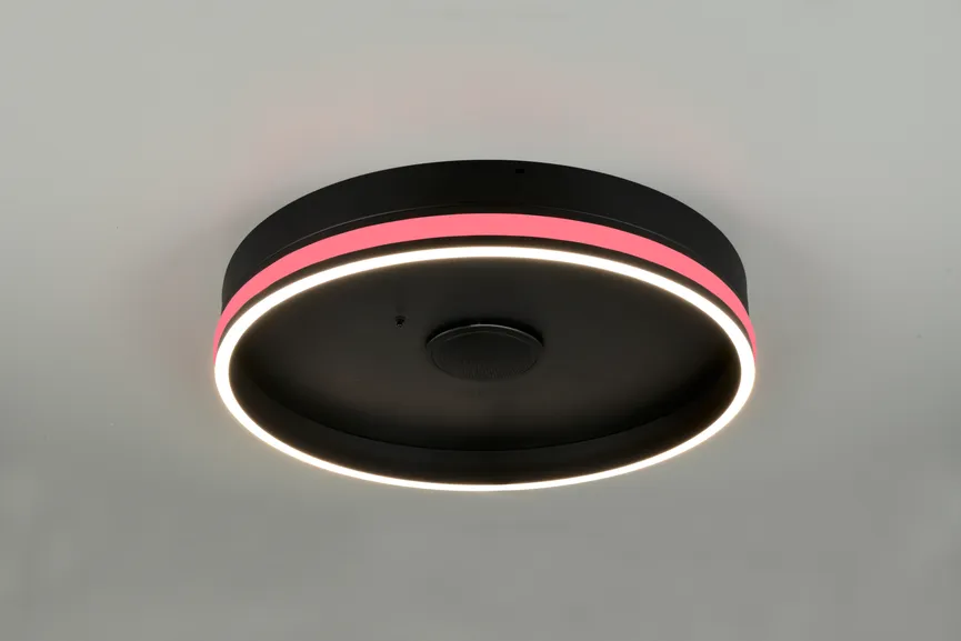 Deckenleuchte "Malin" milieu