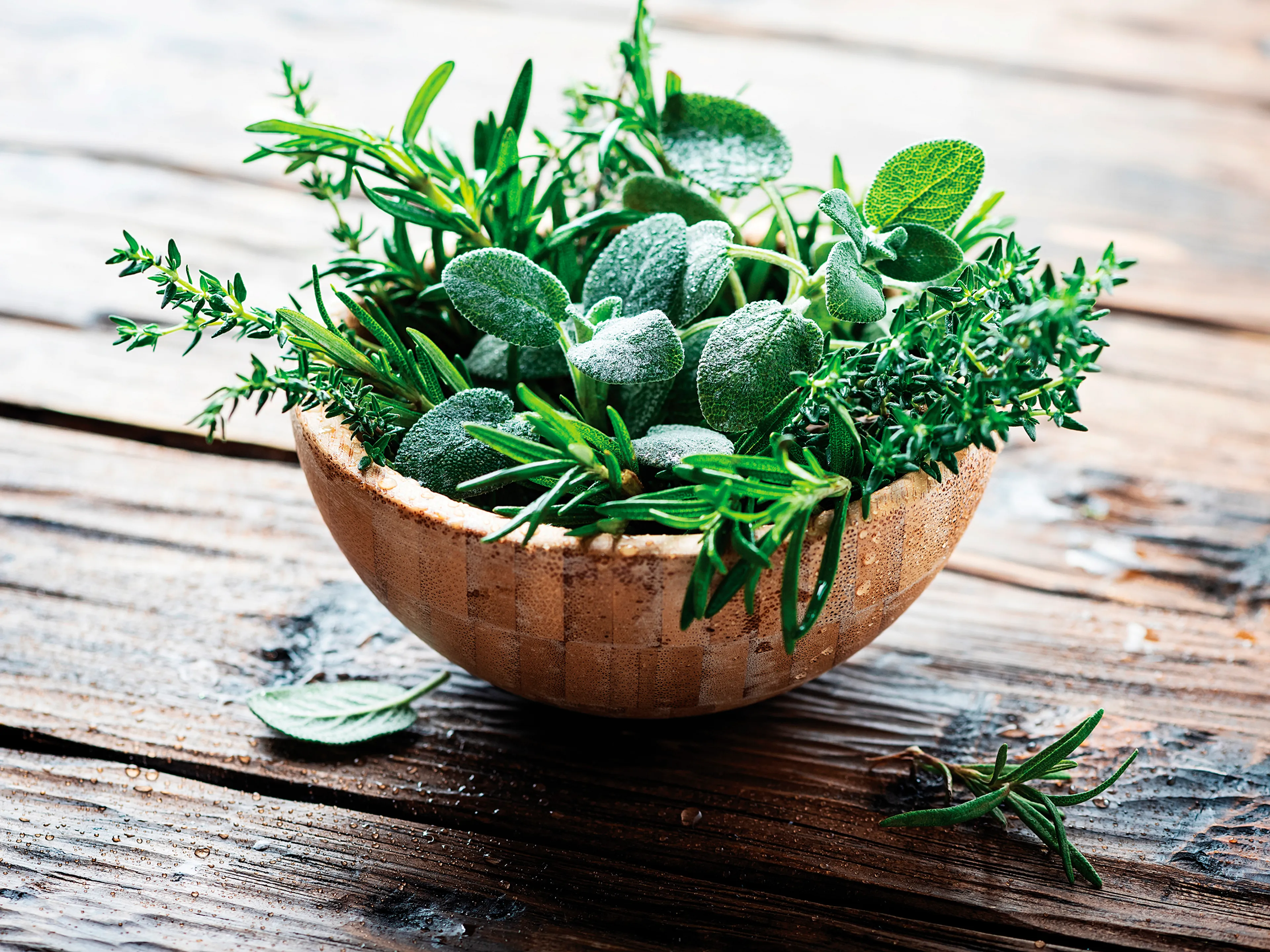 Wandbild 30 x 40 cm Fresh Herbs III
