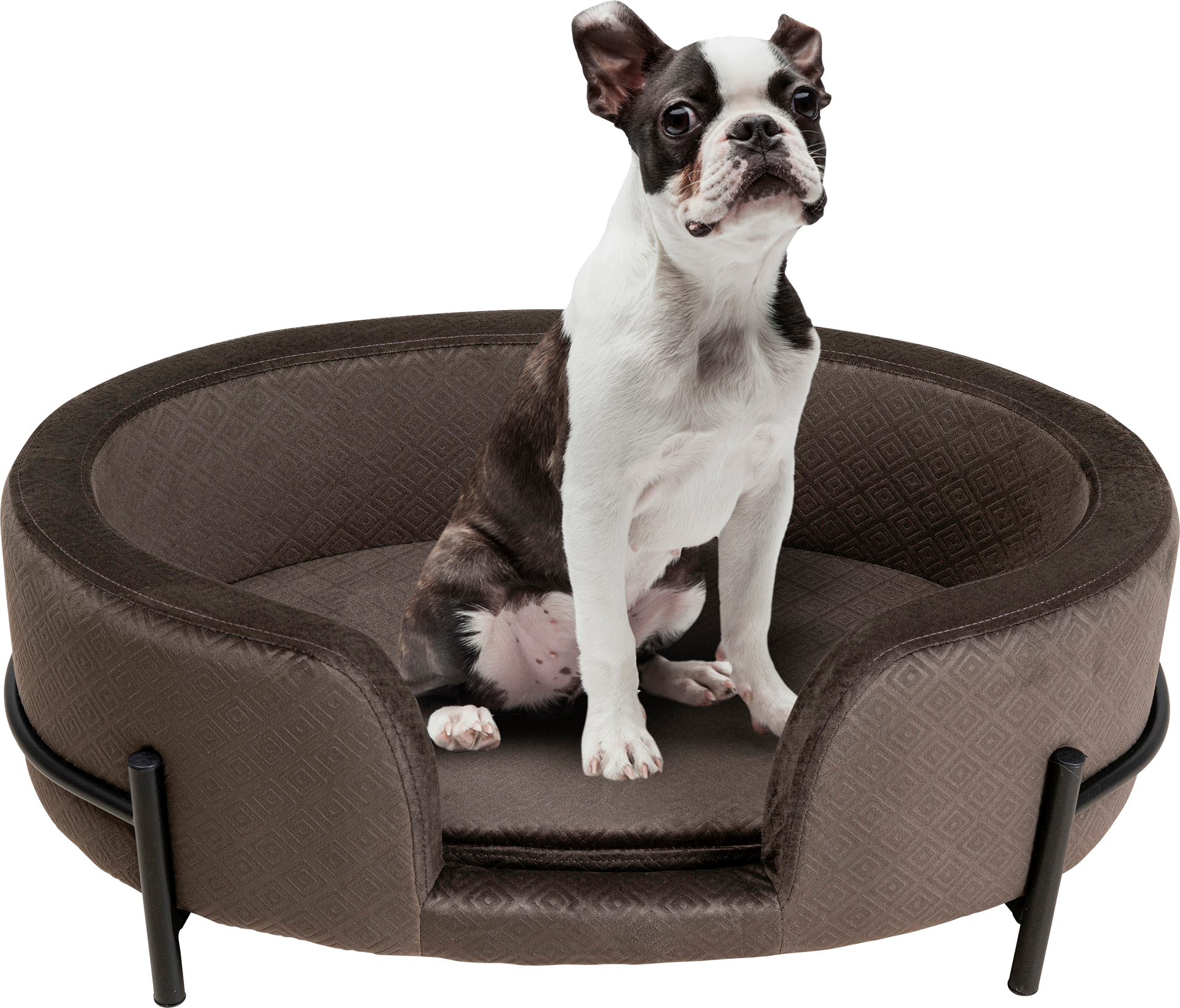 Hundesofa