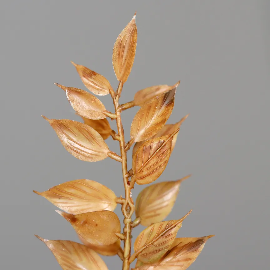 Ruscus Zweig cappucino detail