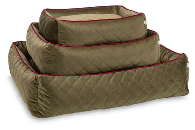 Hundebett
