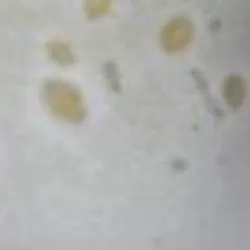 Hellgrau material_farbe