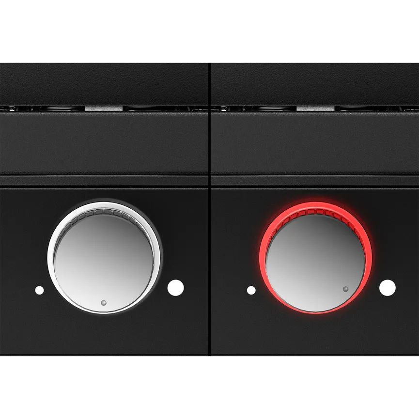 Raclette Lono Selection detail