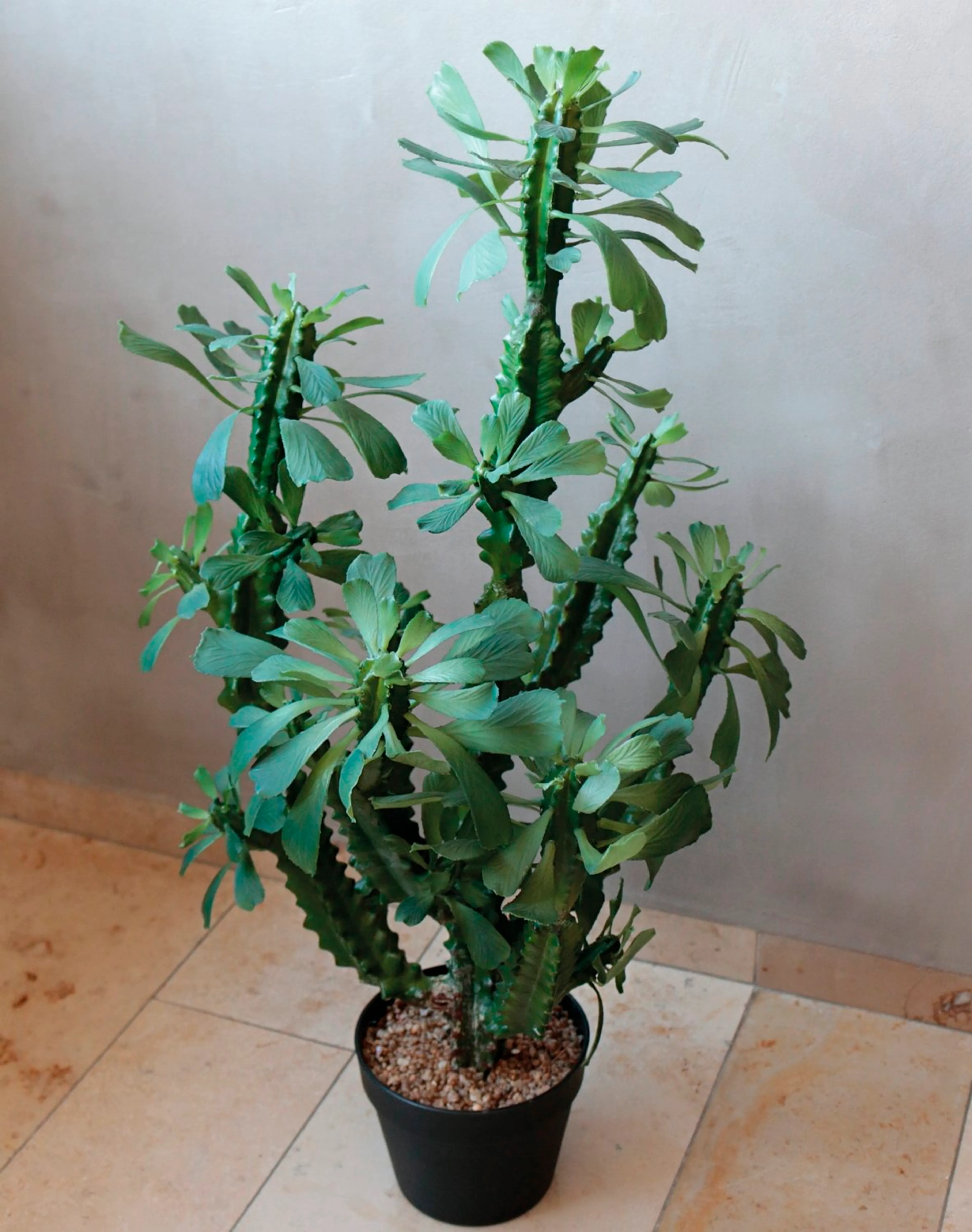Kunstpflanze Euphorbia 88 cm
