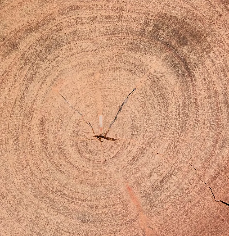 Couchtisch material_farbe