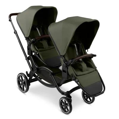 Zwillingsbuggy