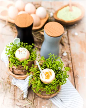 Salz- & Pfeffermühle