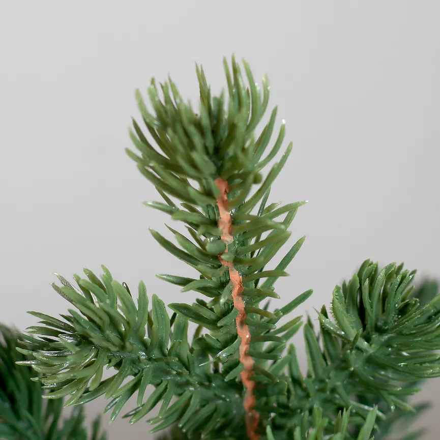 Tannenbaum S detail