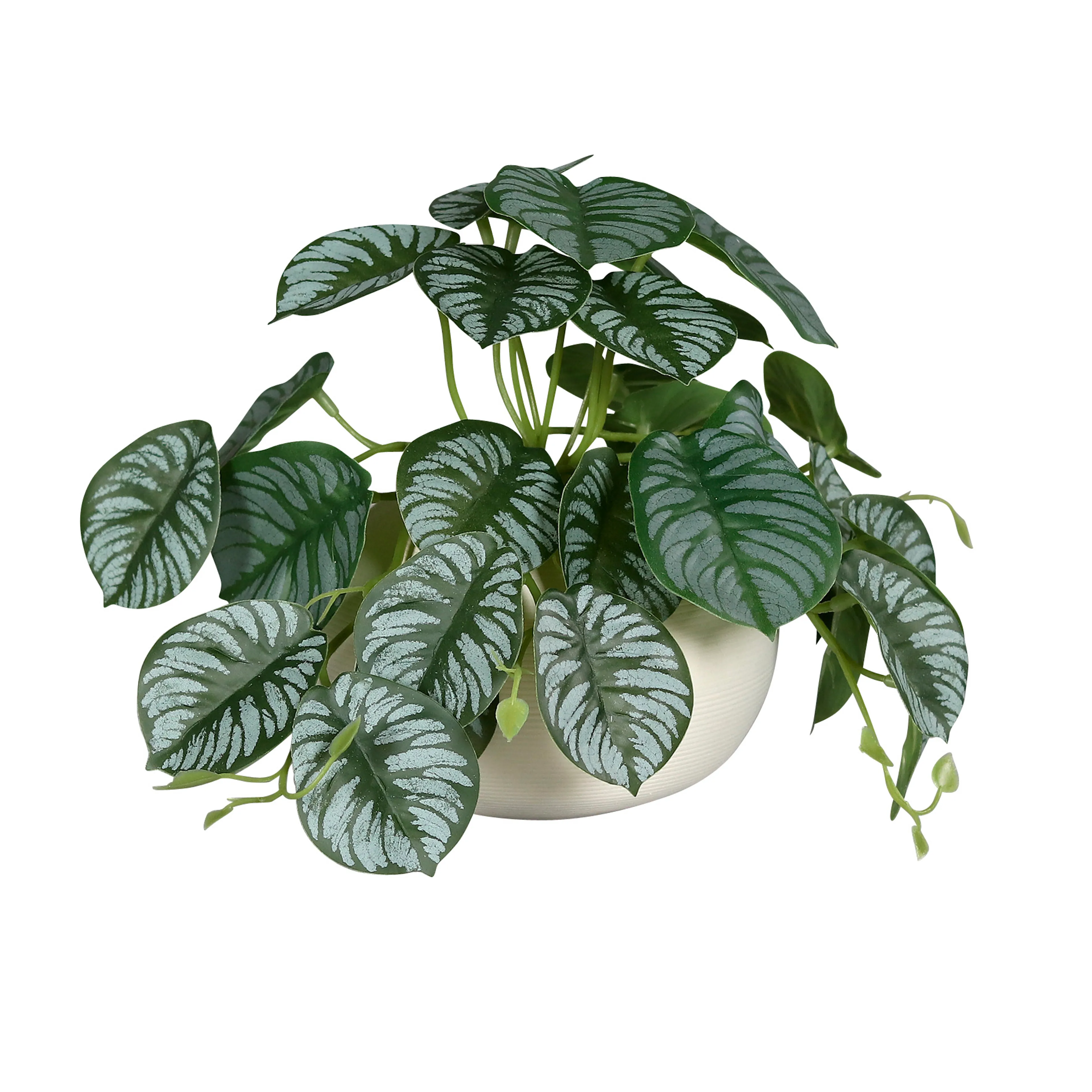 Kunstpflanze Calathea Ranke 19 cm
