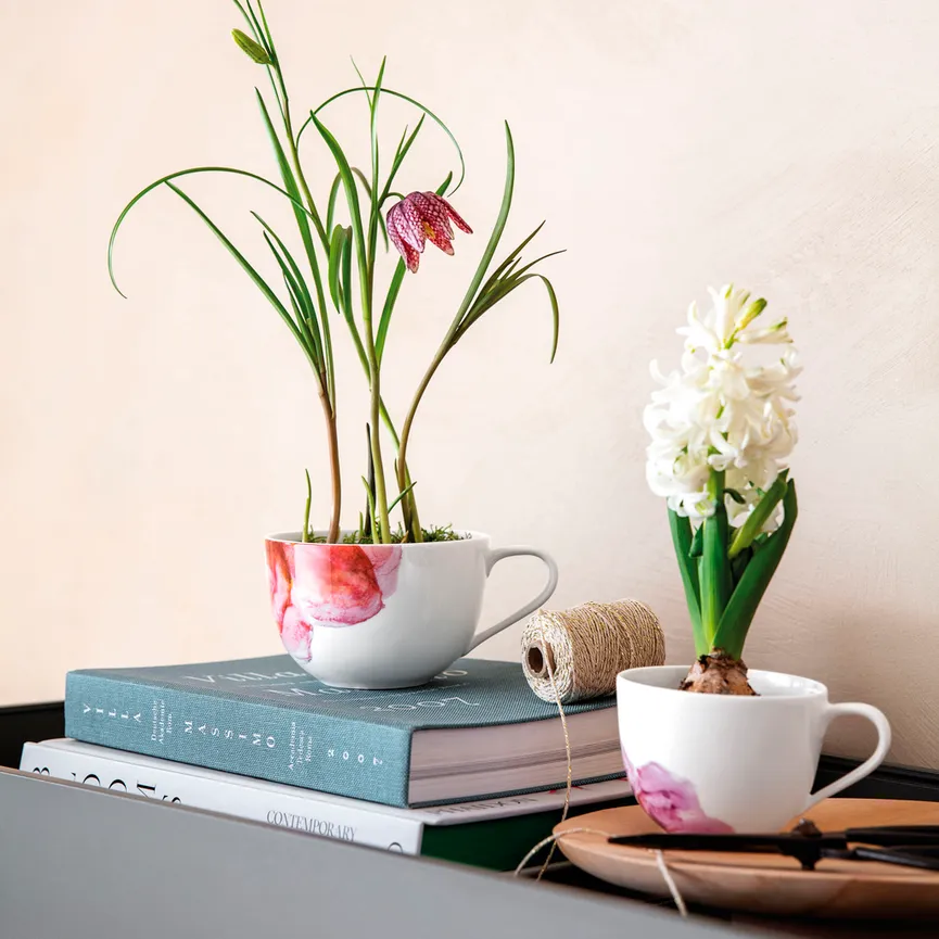 Kaffeeobertasse "Rose Garden" milieu