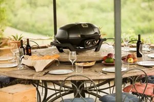Gasgrill