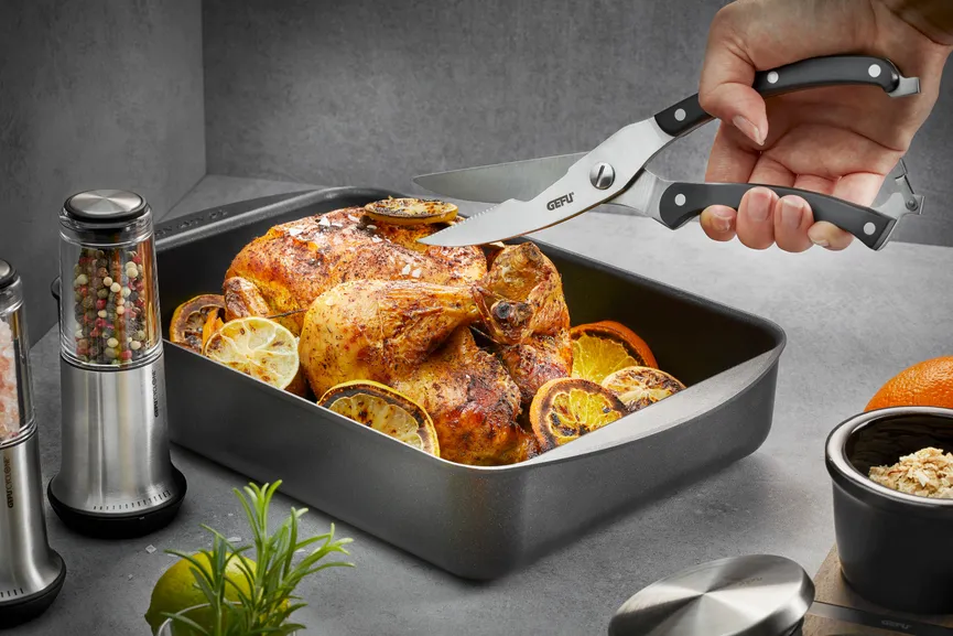 Geflügelschere Vigo milieu