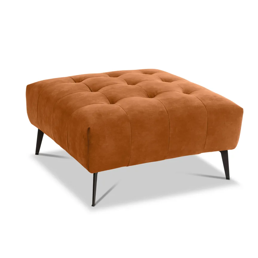 Hocker hauptaufnahme