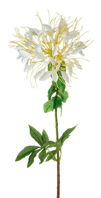 Kunstblume