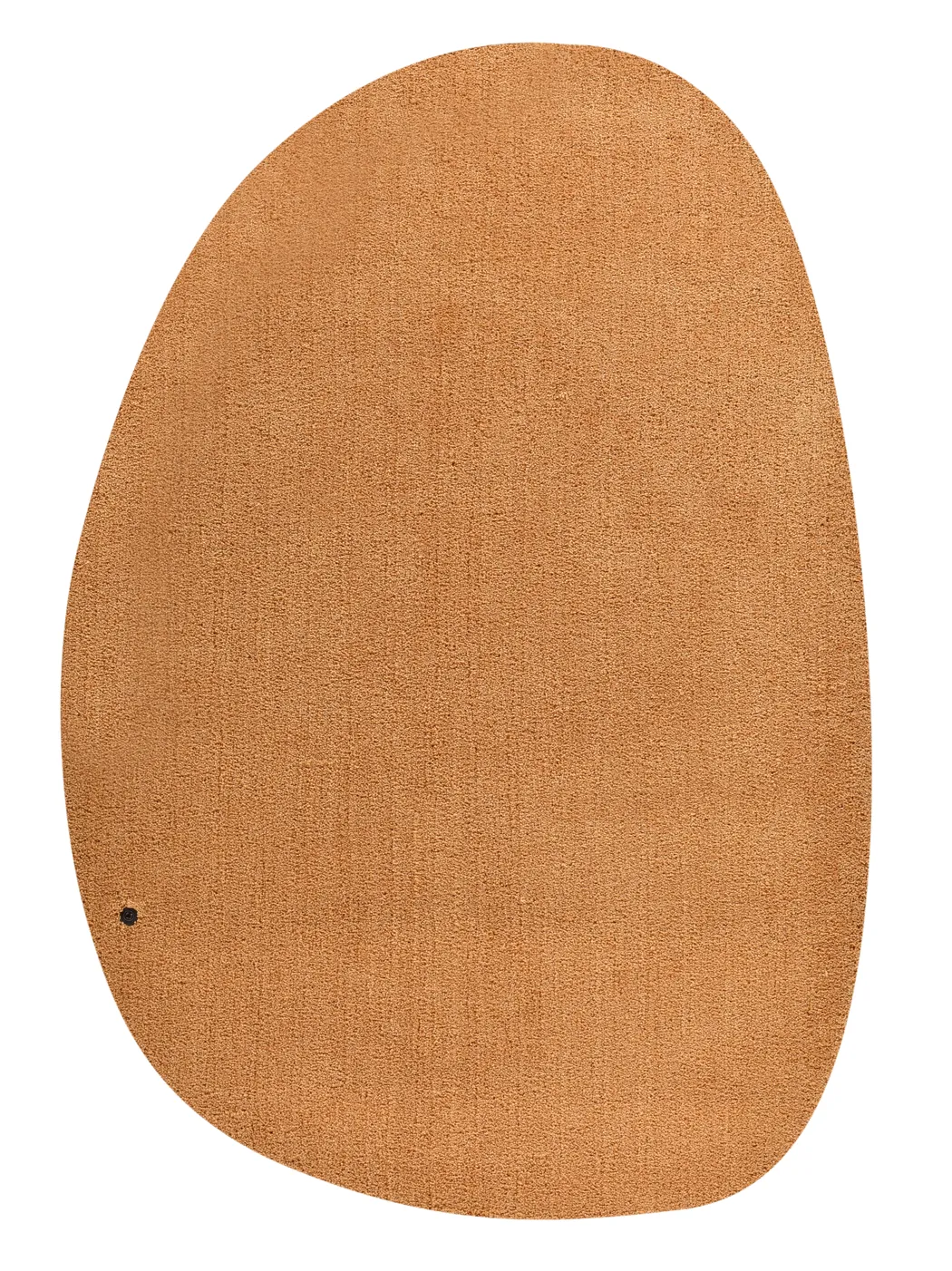 hauptaufnahme