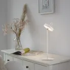 milieu