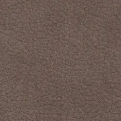Platin material_farbe