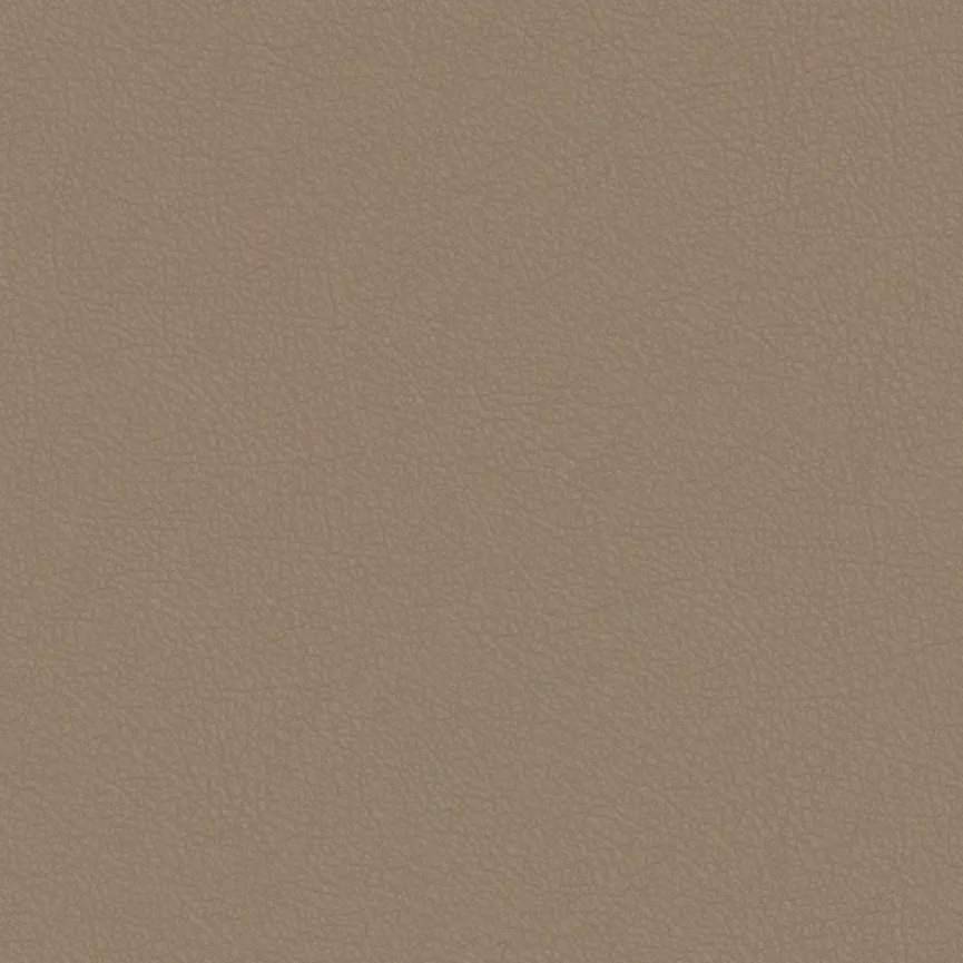 Poga RU V2A material_farbe